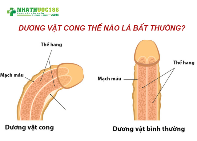 duong-vat-cong-2