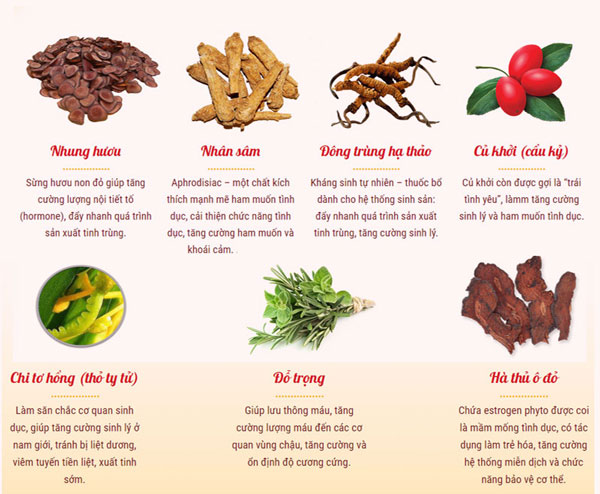thành phần thuốc viên Eroforce