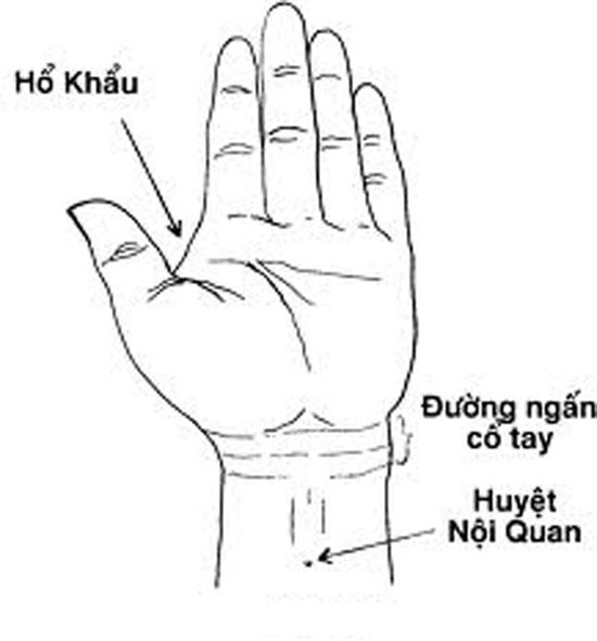 huyet-noi-quan-tri-xuat-tinh-som