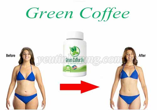 giam-can-bang-green-coffe-co-tot-khong-5