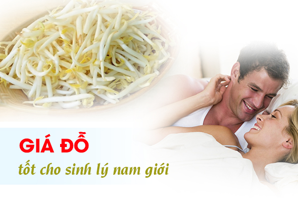 giá đỗ thức ăn bổ thận tráng dương