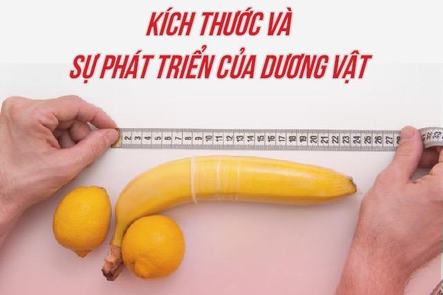Kích thước dương vật như thế nào là chuẩn