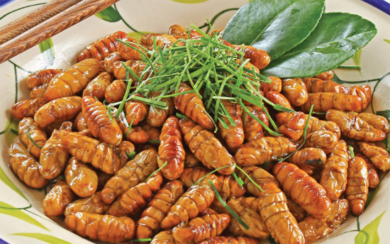 nhong-tam-mon-an-dong-y-chua-xuat-tinh-som