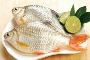ca-chua-xuat-tinh-som-1