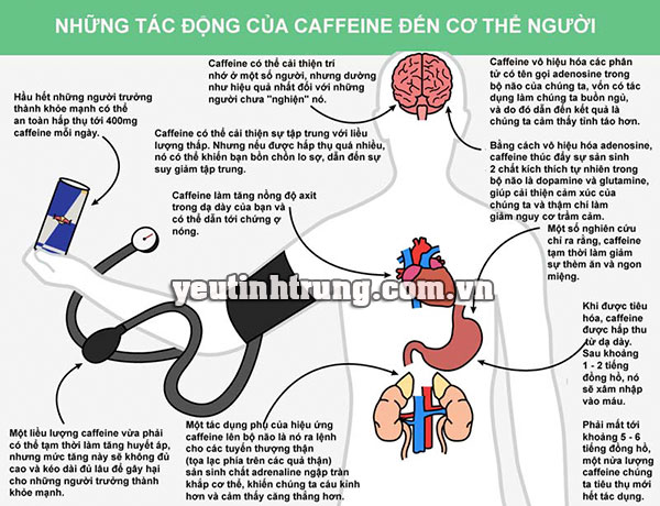 mua-green-coffe-o-dau-2
