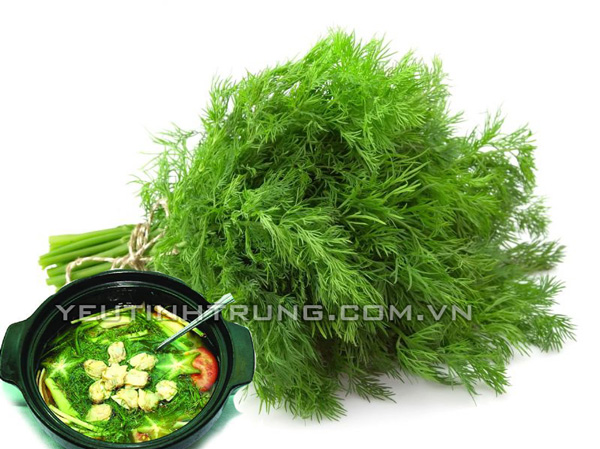 thao-duoc-tang-vong-1.3