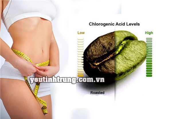 uong-green-coffee-co-hai-khong-1