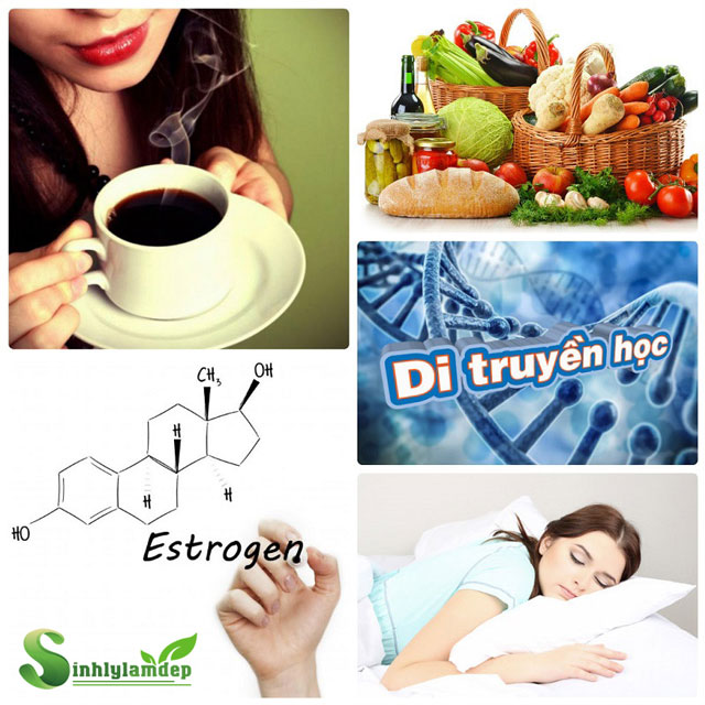 Nguyên nhân khiến vòng 1 không được đầy đặn