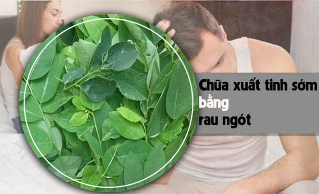 Lợi ích của rau ngót trong việc điều trị xuất tinh sớm ở nam giới