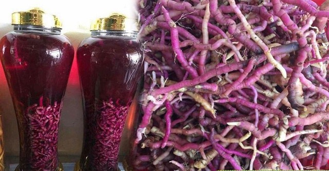rượu ba kích chữa xuất tinh sớm